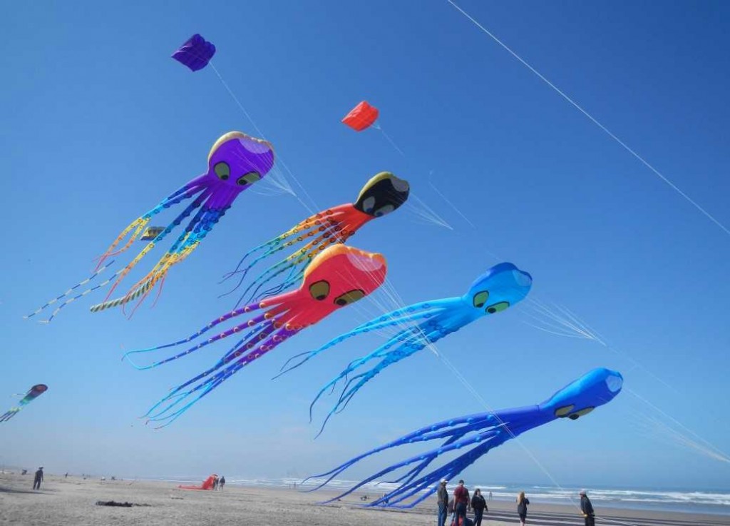 Lots-of-Peter-Lynn-octopus-kites-e1457613453126